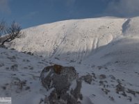 2018-01-13 M. Orsello 043
